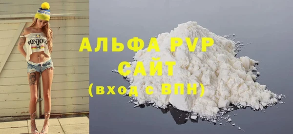 Альфа ПВП Новозыбков