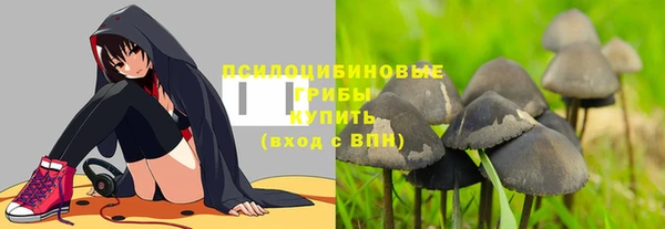 PSILOCYBIN Остров