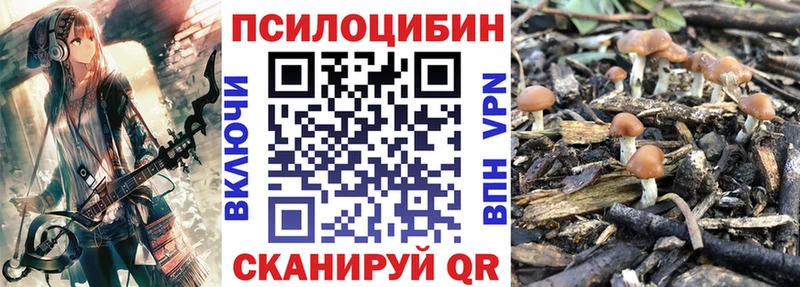 где продают наркотики  Боровск  Галлюциногенные грибы прущие грибы 
